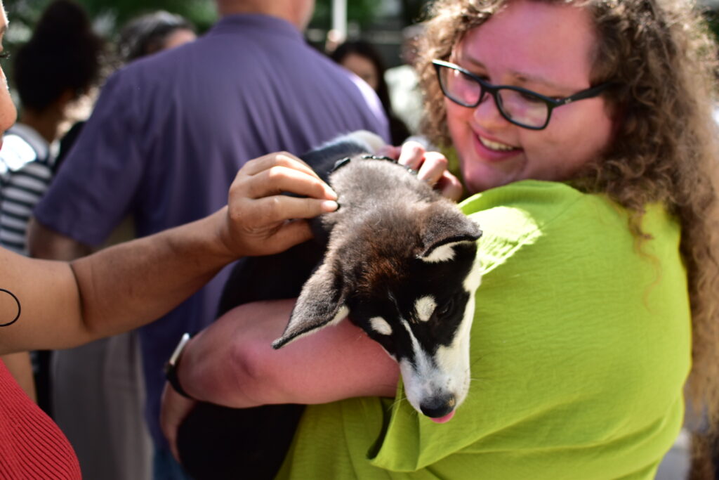 Puppies for a Cause (16)