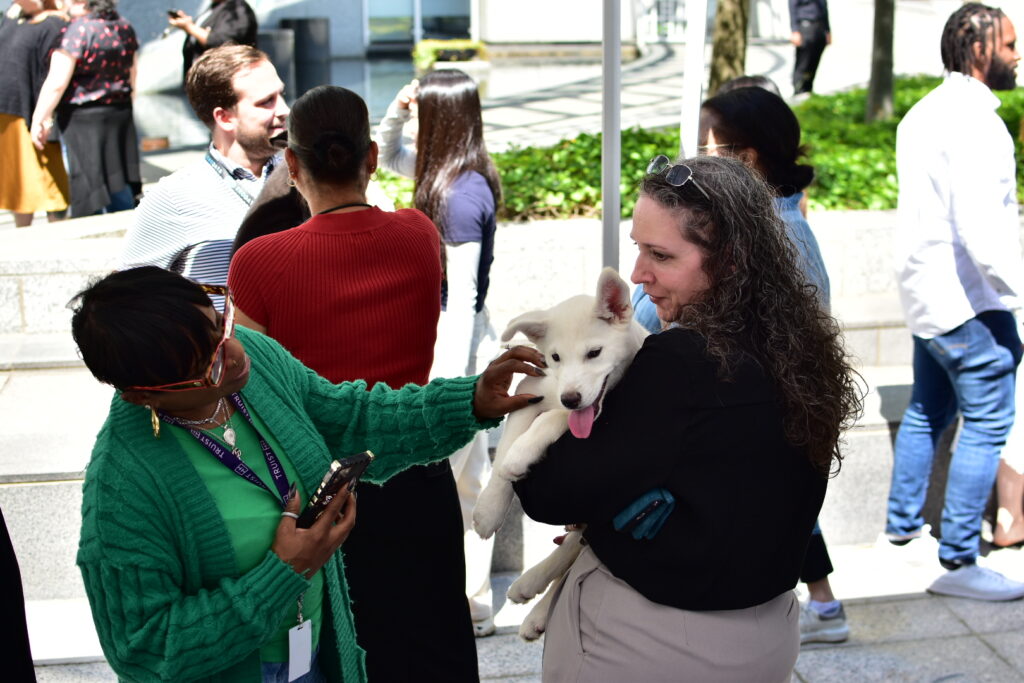 Puppies for a Cause (25)