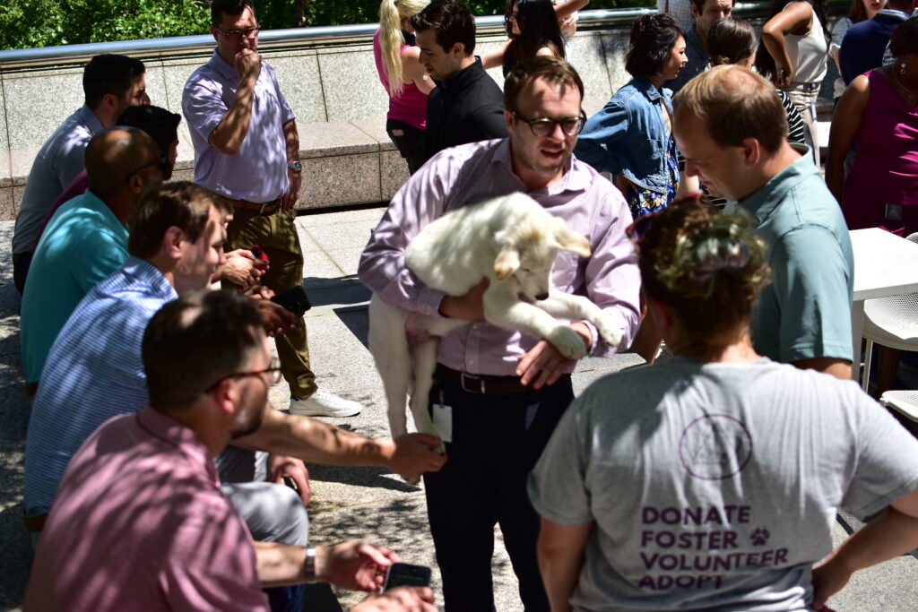 Puppies for a Cause (30)