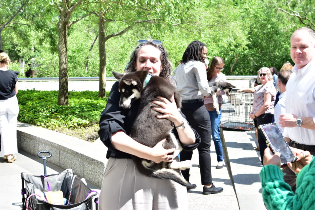 Puppies for a Cause (6)